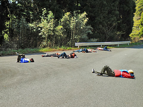 道の真ん中で昼寝