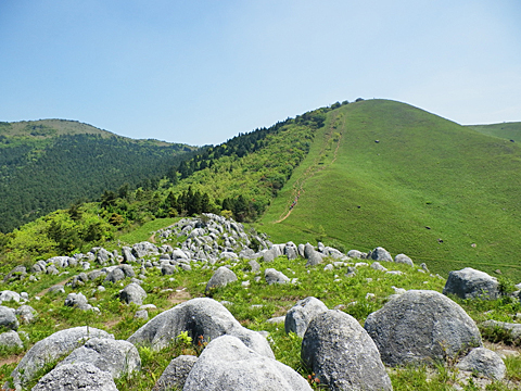 大平山から貫山方向を望む