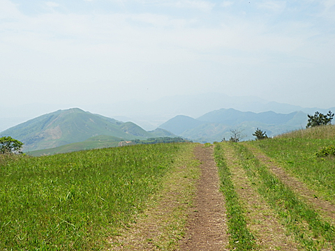 貫山山頂から英彦山方向を望む