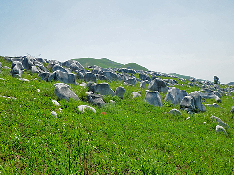 羊群岩01