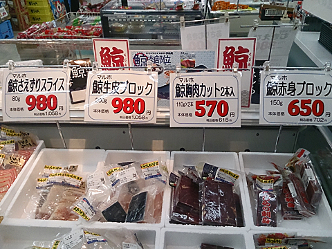 Aコープ長門店_くじら