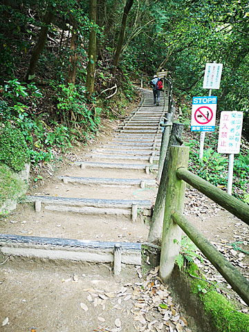 山頂手前の階段