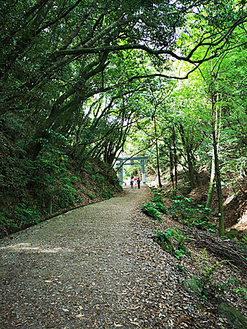 車道的な登山道