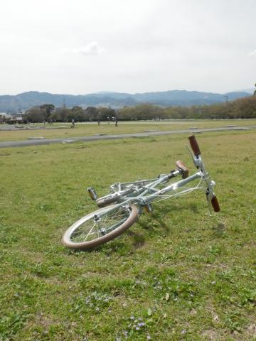 太宰府政庁跡