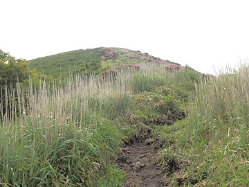 約1400m地点 約1400m地点