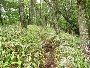 取り付き部 取り付き部