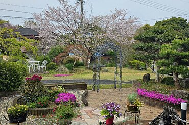 さくらの共演のイメージ