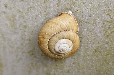 どうして？のイメージ