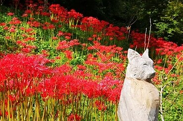 朝夕暑さもお盆まで??のイメージ